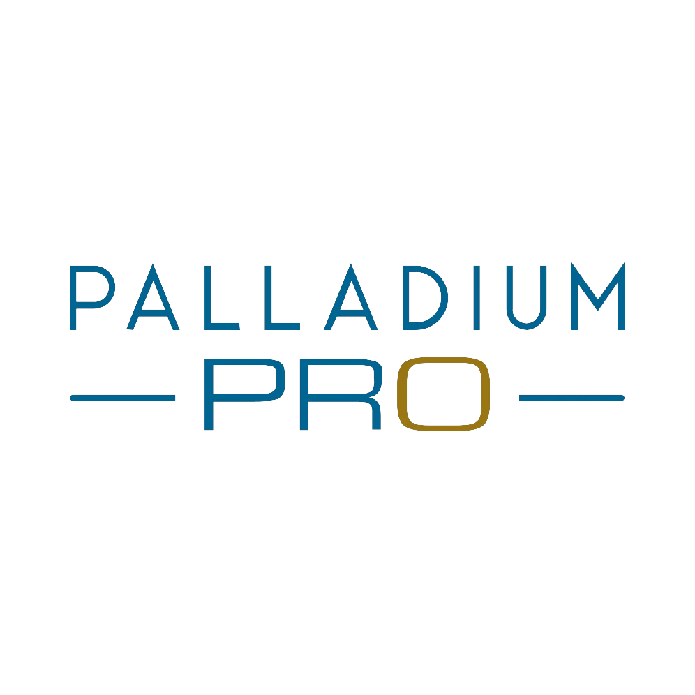 AERO Turismo Confiable - Palladium PRO